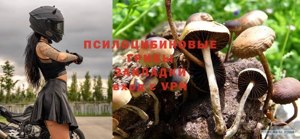 кокс Баксан